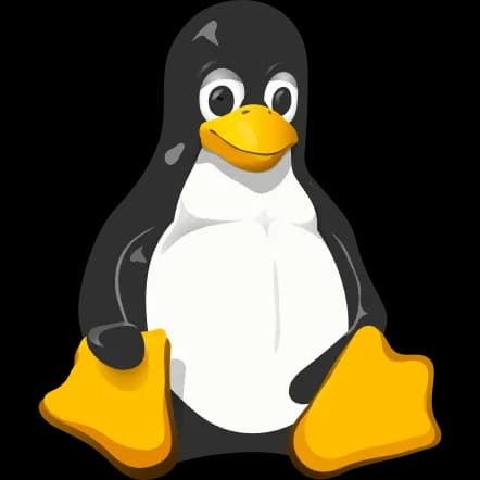 هاست لینوکس چیست؟