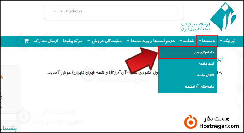 تنظیم دی ان اس اختصاصی در ایرنیک آموزش تنظیم دی ان اس اختصاصی در ایرنیک