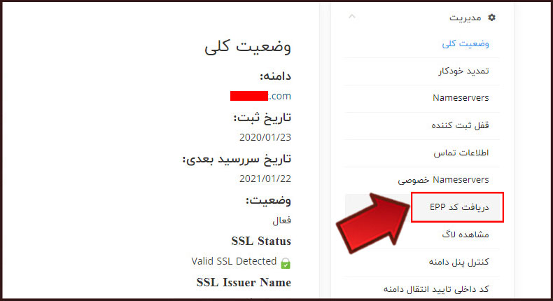 دریافت کد انتقال دامنه خارجی