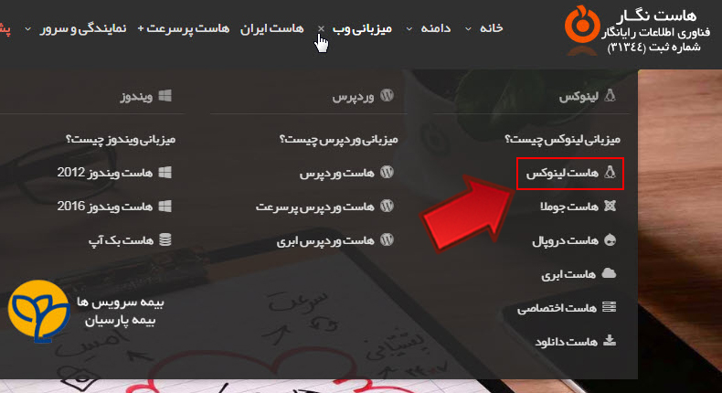 آموزش خرید هاست بدون دامنه